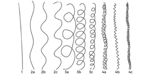 Hair Chart